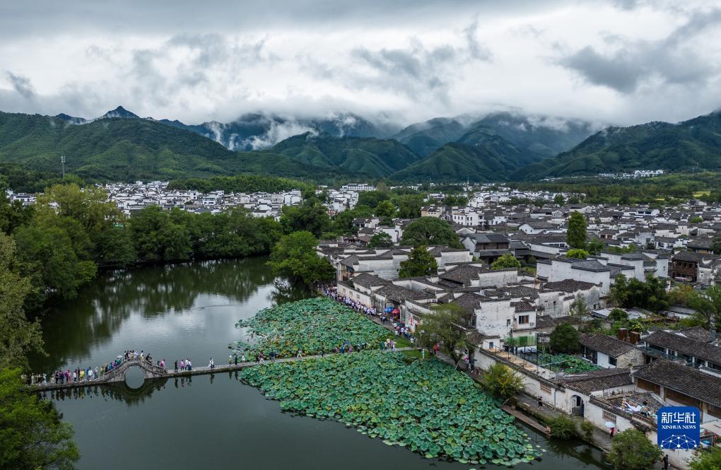二维码